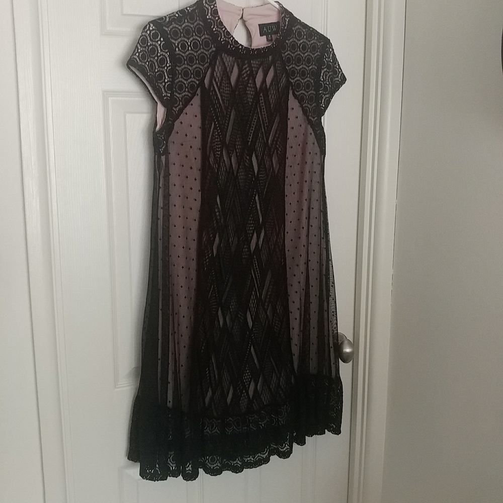 Beautiful Delicate Lace Trapeze Dress